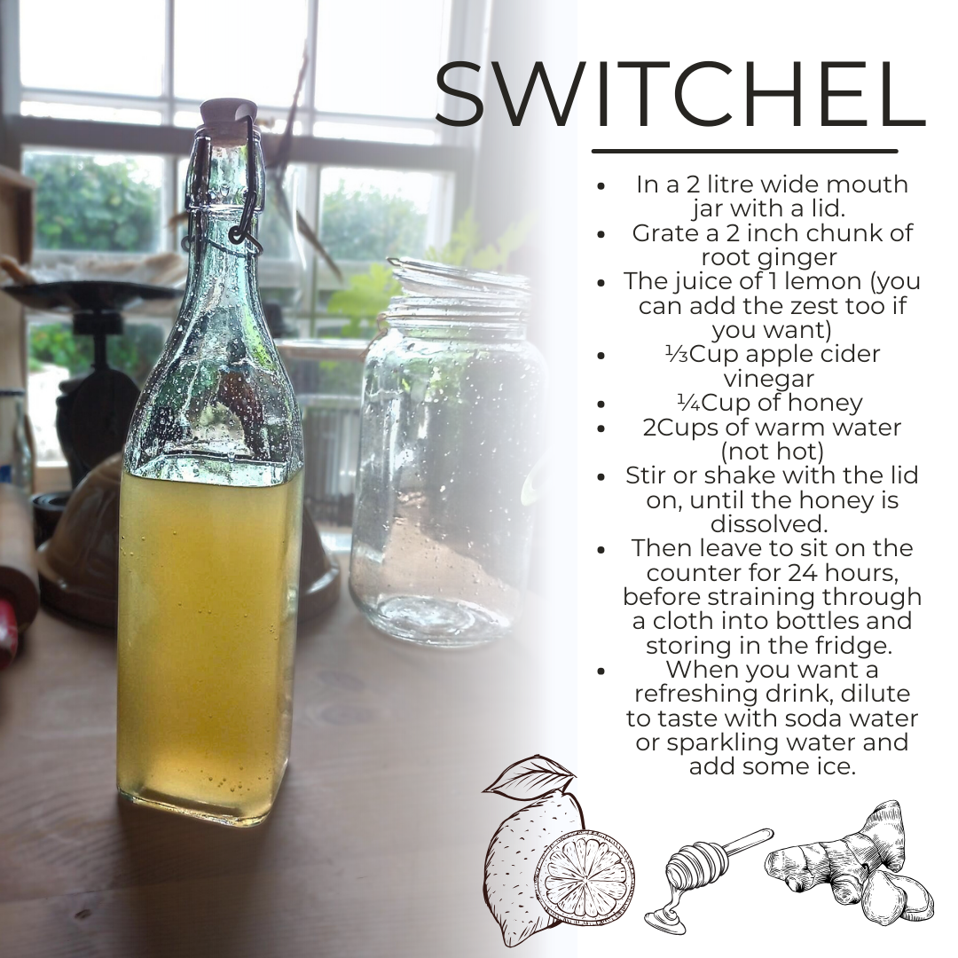 Switchel recipe